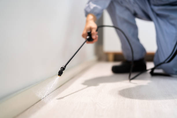 Bed Bug Pre-Treatment Preparation Assessment in Forest Park