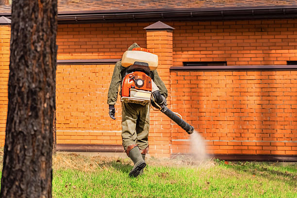 Bed Bug Clearance Verification and Documentation in Forest Park